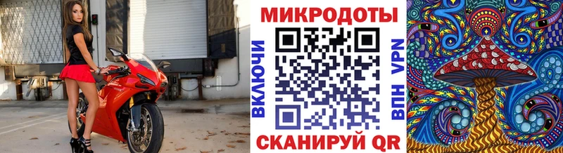 Галлюциногенные грибы Magic Shrooms  цена   Верея 