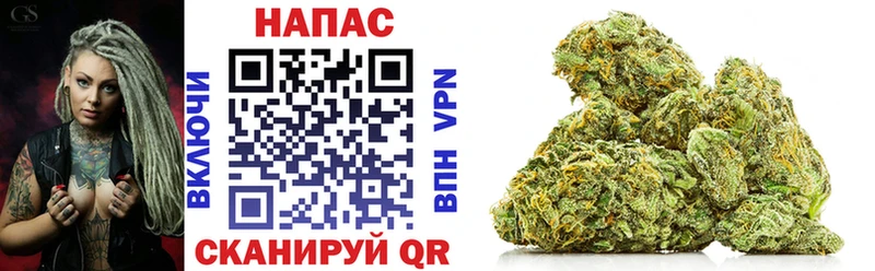 Бошки Шишки White Widow Верея